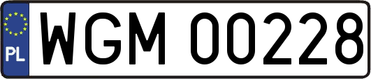 WGM00228
