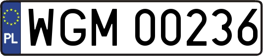 WGM00236