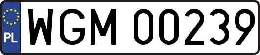 WGM00239