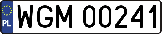 WGM00241