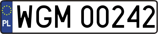 WGM00242