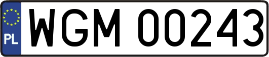 WGM00243