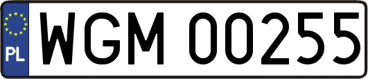 WGM00255