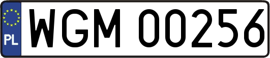 WGM00256