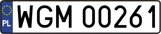 WGM00261