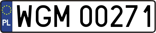 WGM00271