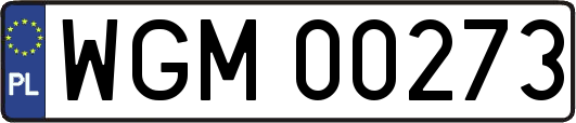 WGM00273
