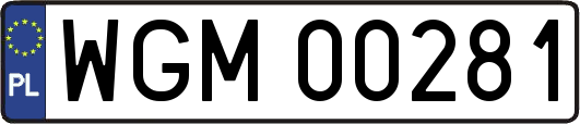 WGM00281