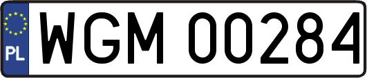 WGM00284