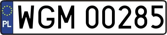 WGM00285