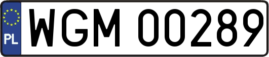 WGM00289