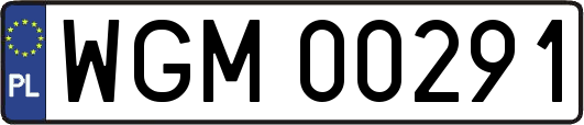 WGM00291