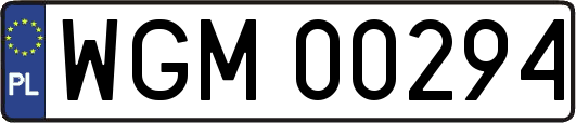 WGM00294