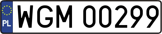 WGM00299