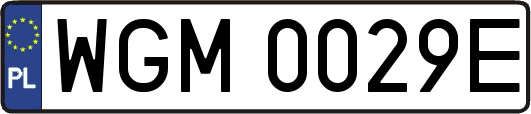 WGM0029E