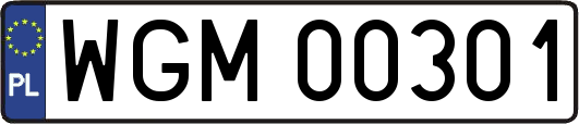 WGM00301