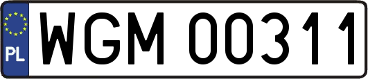 WGM00311
