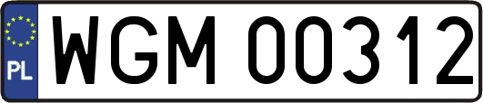 WGM00312