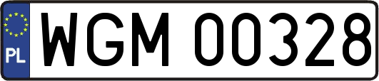 WGM00328