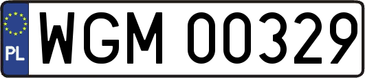 WGM00329