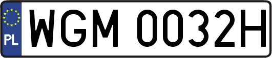 WGM0032H