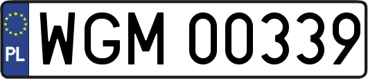 WGM00339