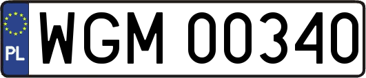 WGM00340