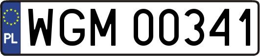 WGM00341