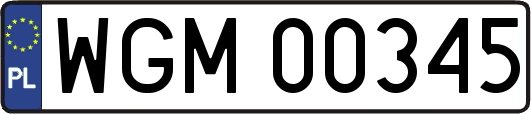 WGM00345