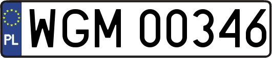 WGM00346