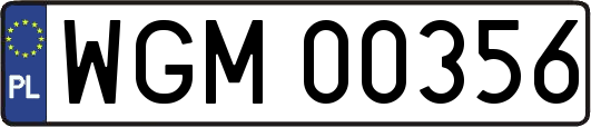 WGM00356