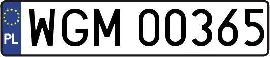 WGM00365