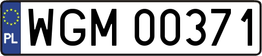 WGM00371
