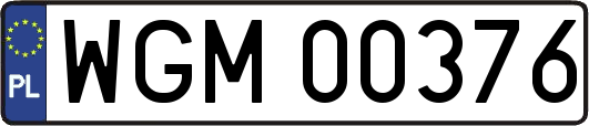 WGM00376