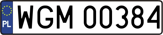 WGM00384