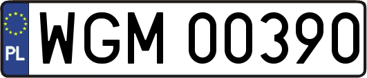 WGM00390
