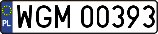 WGM00393