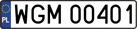 WGM00401