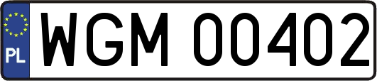 WGM00402