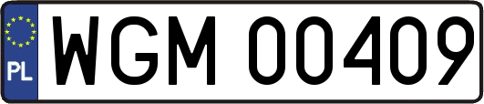 WGM00409
