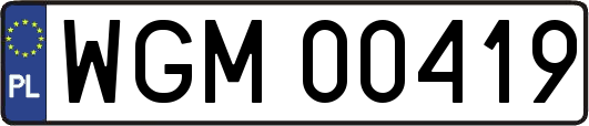 WGM00419