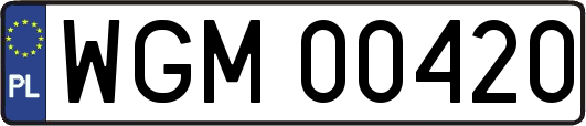 WGM00420