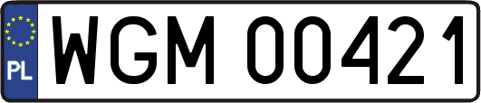 WGM00421