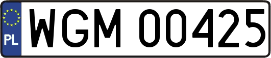 WGM00425