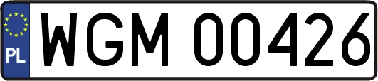 WGM00426