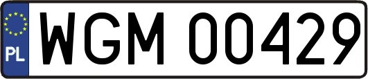 WGM00429