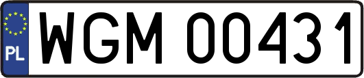 WGM00431