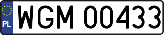 WGM00433
