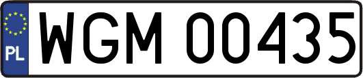 WGM00435