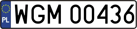 WGM00436